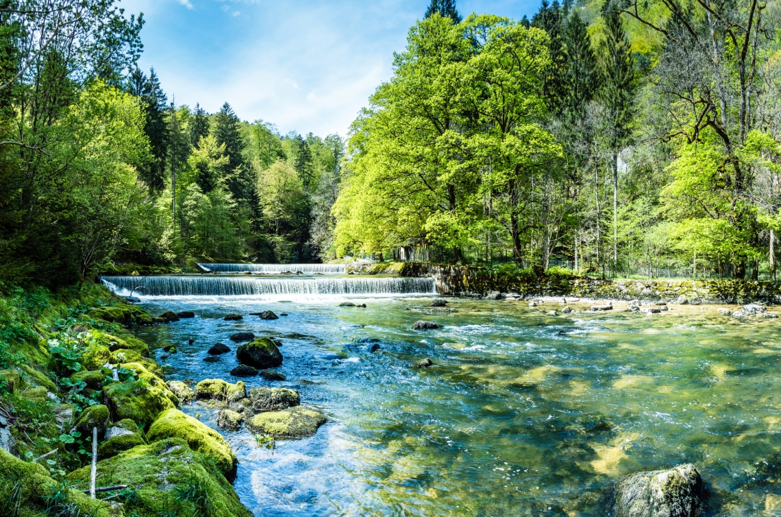 Saubere Natur Fluss im Wald